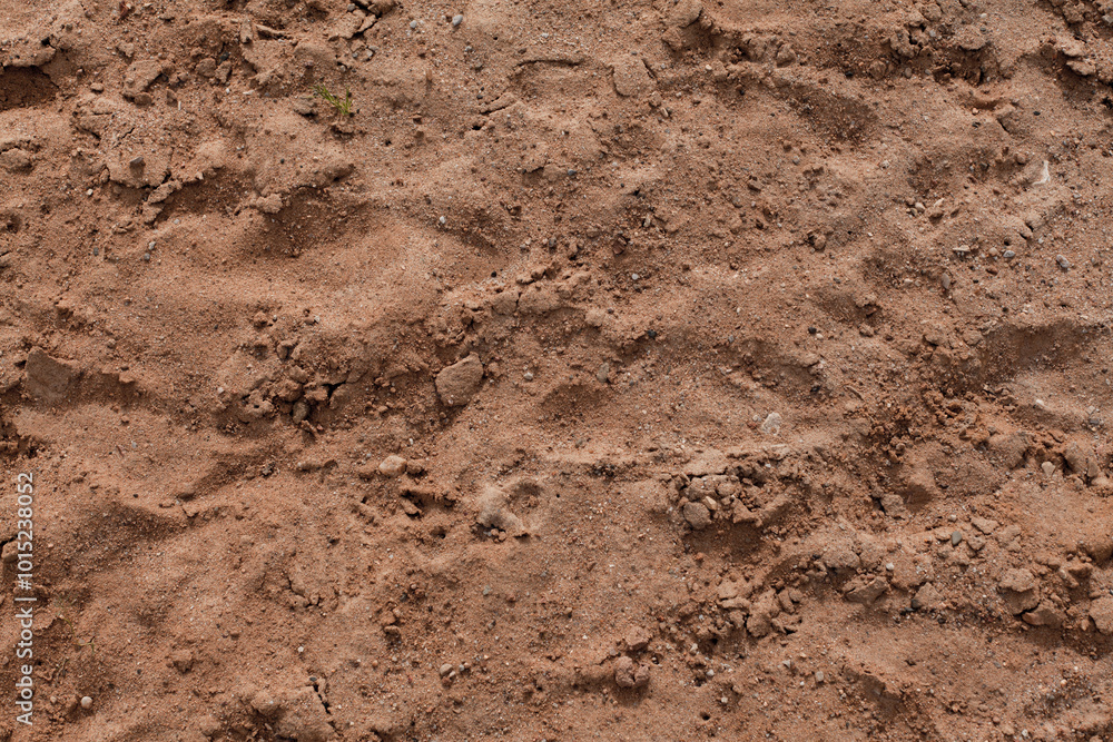Background of beige, brown beach sand with natural pattern background. top view, flat lay. copy space, close up Background of beige, brown beach sand with natural pattern background. top view, flat lay. copy space, close up