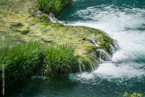 Waterfall among the green summer forest. photo