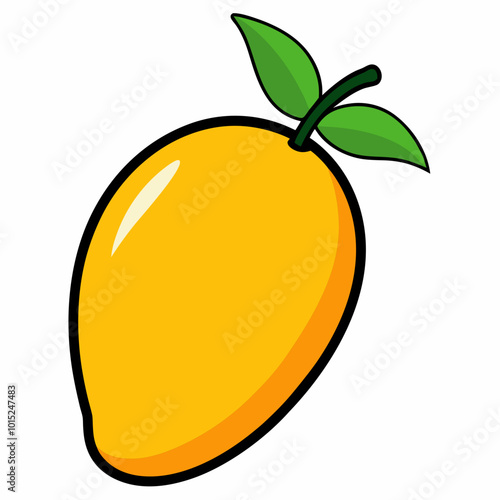 orange fruit vector illustration