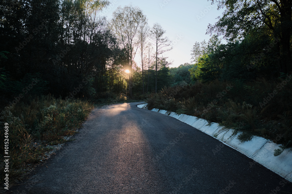 A scenic road winds through a lush forest, bathed in the golden glow of the setting sun. The sunlight illuminates the asphalt, creating a sense of tranquility and wonder. A scenic road winds through a lush forest, bathed in the golden glow of the setting sun. The sunlight illuminates the asphalt, creating a sense of tranquility and wonder.