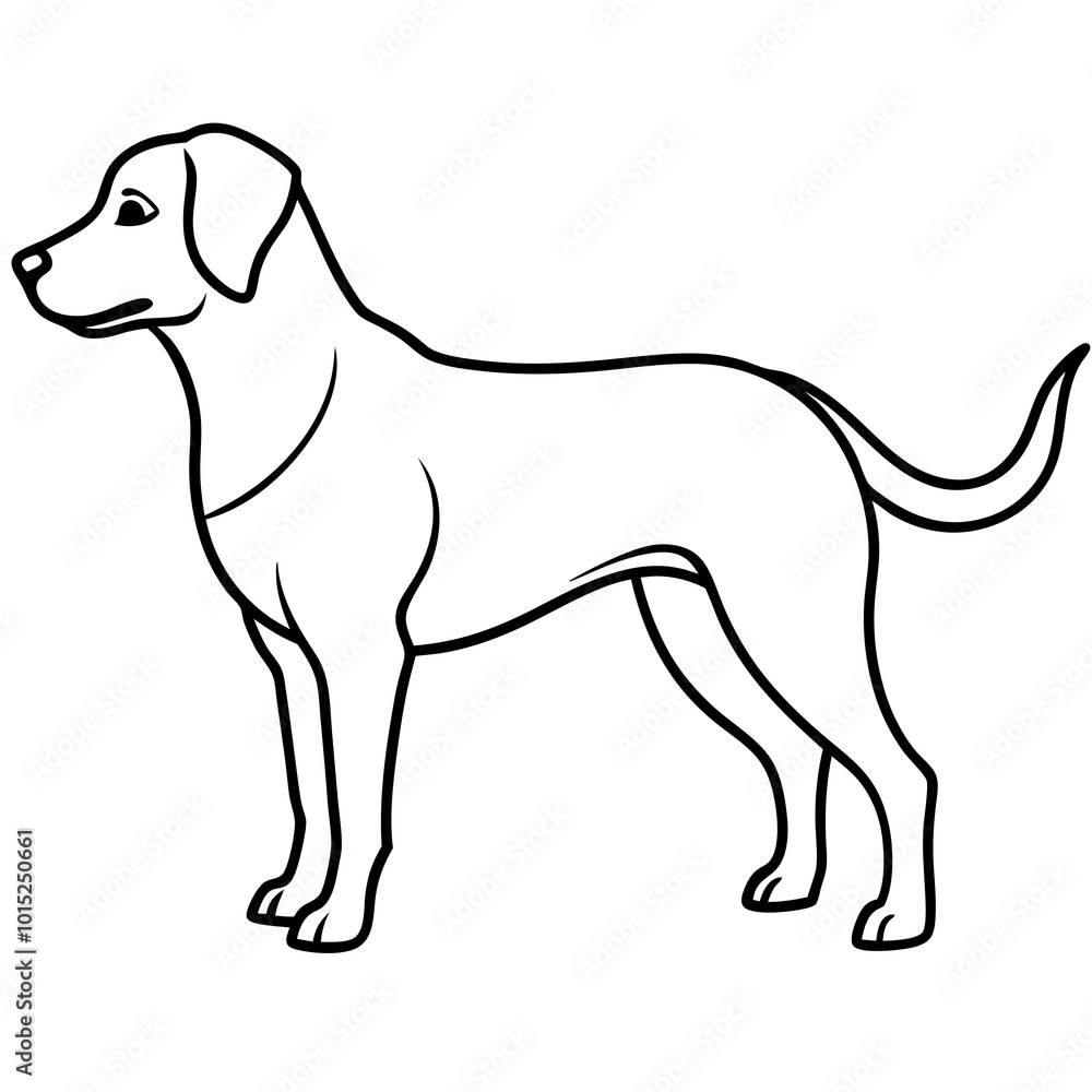 beagle dog illustration beagle dog illustration