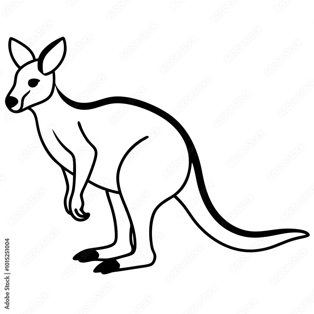 kangaroo vector illustration kangaroo vector illustration