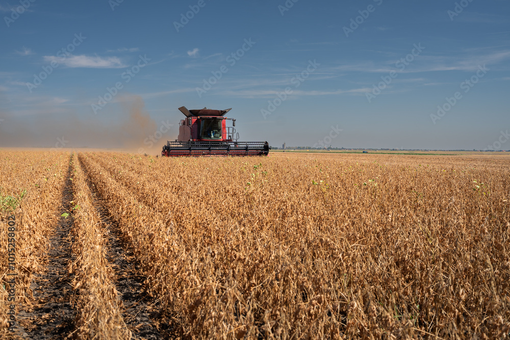 Fototapeta premium Harvesting combine in the wheat.