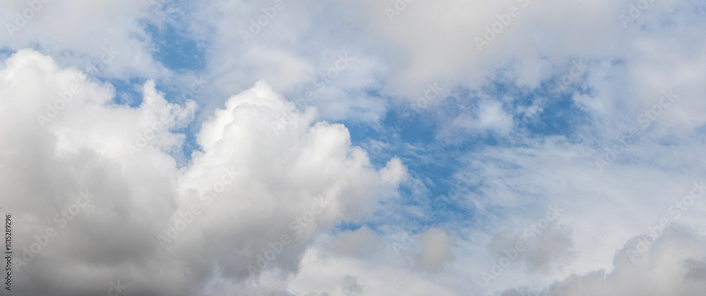 Obraz premium white curly clouds in the blue sky