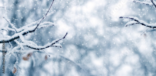 Canvas Print snow covered tree branches in winter forest during heavy snowfall
