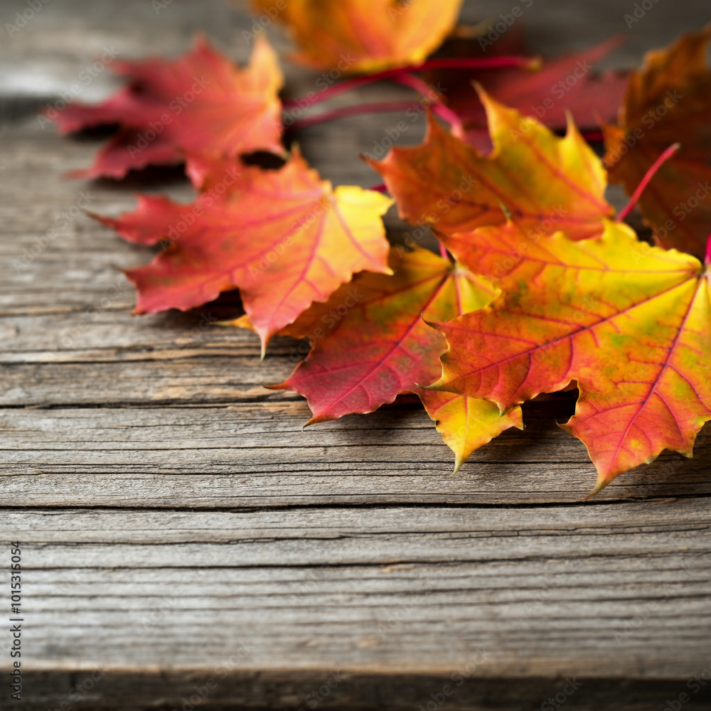 Obraz premium Autumn leaves on wooden background red yellow leaf with copy space for text space