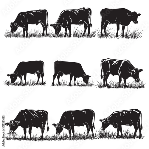 Cow silhouette Vector Illustration, Cow Grazing On Meadow, Dairy farm cow vector silhouette icon. Beef cattle cow animal farmer isolated illustration