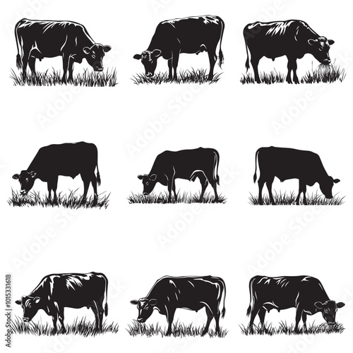Cow silhouette Vector Illustration, Cow Grazing On Meadow, Dairy farm cow vector silhouette icon. Beef cattle cow animal farmer isolated illustration