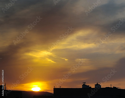 sunset over the city