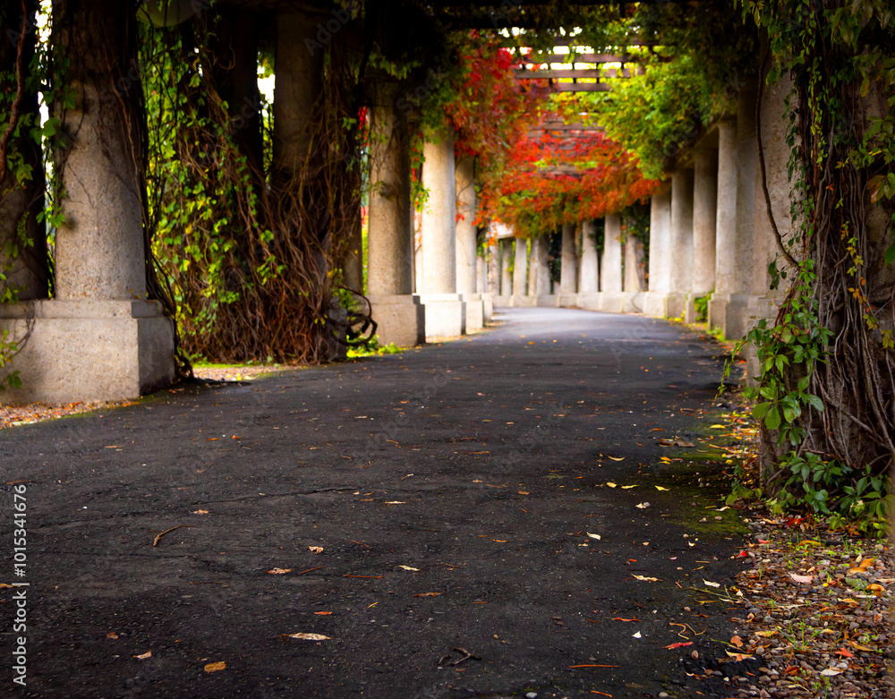 autumn alleys near the centennial hall in Wrocław, Lower Silesia, Poland. autumn alleys near the centennial hall in Wrocław, Lower Silesia, Poland.