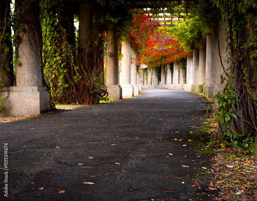 autumn alleys near the centennial hall in Wrocław, Lower Silesia, Poland.