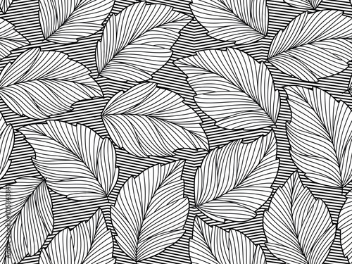 Seamless floral abstract background with  leaves drawn by thin lines. Hand made black and white leaves, monochrome.Vector floral  pattern