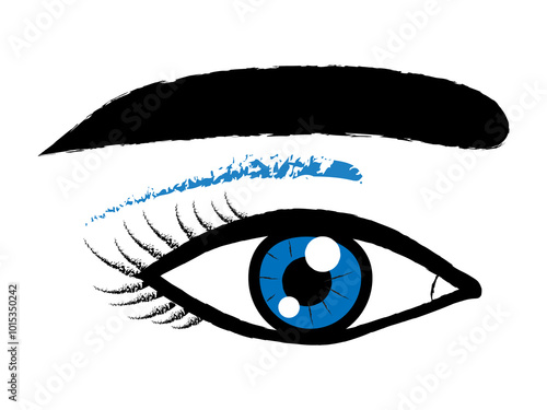 Female blue color eye and black eyebrow . Eyelashes close up .Vector illustration 