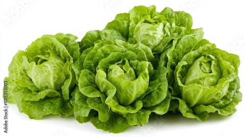 Isolated on white background green butter lettuce composition