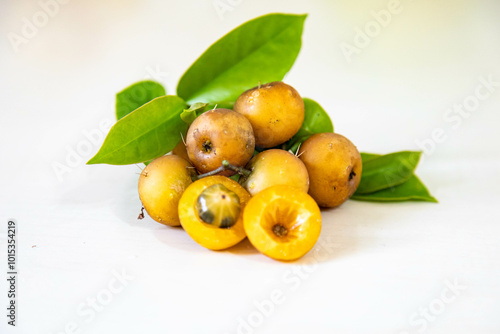 Ora-pro-nóbis Pereskia aculeata with ripe fruits and thorns on the surface