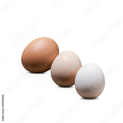 Different types of eggs displayed in a row on a simple background in natural ...