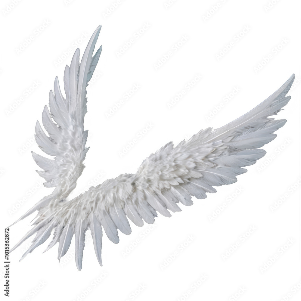 Fototapeta premium A striking white wing sculpture features numerous detailed feathers