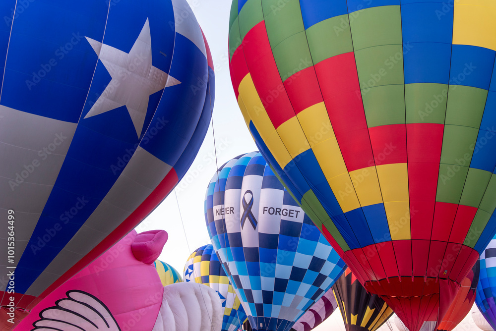 Hot Air Balloon Festival Albuquerque