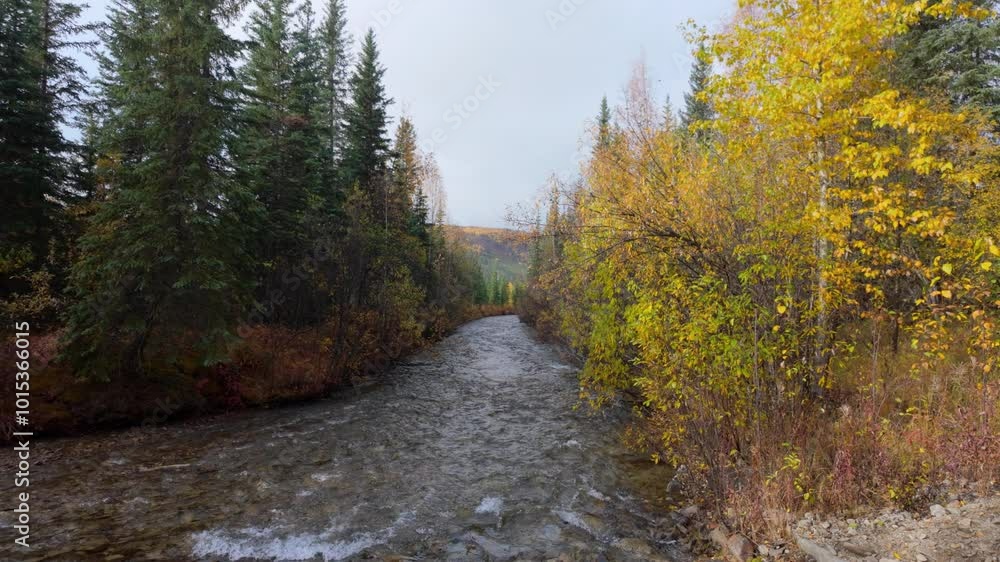 Monument Creek in Alaska with Autumn colors Monument Creek in Alaska with Autumn colors