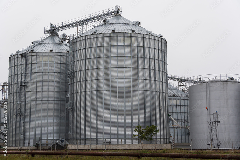 Several large metal silos are seen in a grain storage facility, surrounded by industrial structures, while a cloudy sky looms overhead Several large metal silos are seen in a grain storage facility, surrounded by industrial structures, while a cloudy sky looms overhead