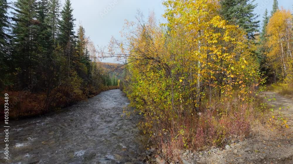 Dolly of Monument Creek in Alaska with Autumn colors Dolly of Monument Creek in Alaska with Autumn colors