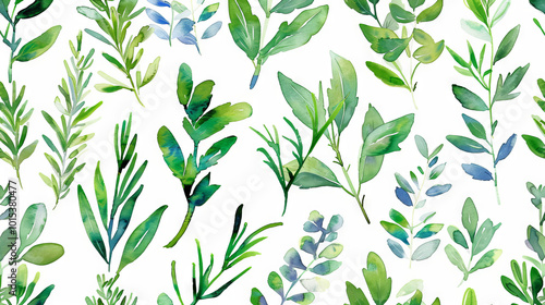 Watercolor art of pattern background featuring mix of herbs such as rosemary, thyme, oregano on a white background. Concept of culinary ingredients, food preparation, natural herbs, cooking elements