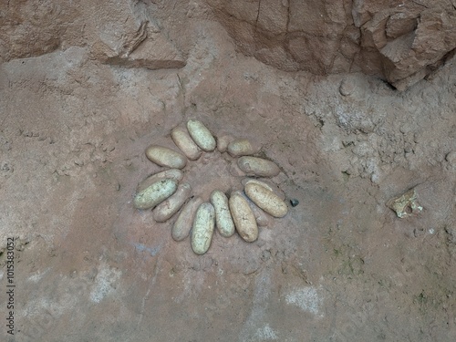 A well-preserved fossilized egg of Protoceratops, a herbivorous dinosaur from the Late Cretaceous period, showcasing the reproduction and nesting habits of ancient creatures