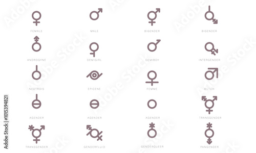 Gender Diversity Monochrome Icons Set. Black gender icons. Representation of people of different genders