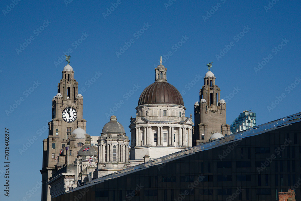 Fototapeta premium Old domed building s in Liverpool, UK