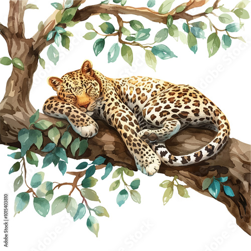 leopard sleeping on the tree vector illustration in watercolor style