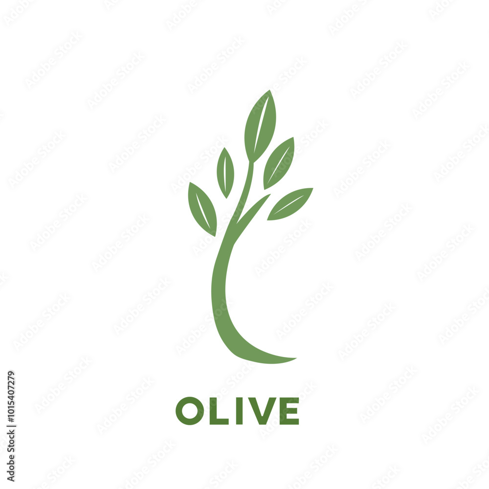 Fototapeta premium olive branch icon, vector olive green leaf logo template nature beauty and healthy. 