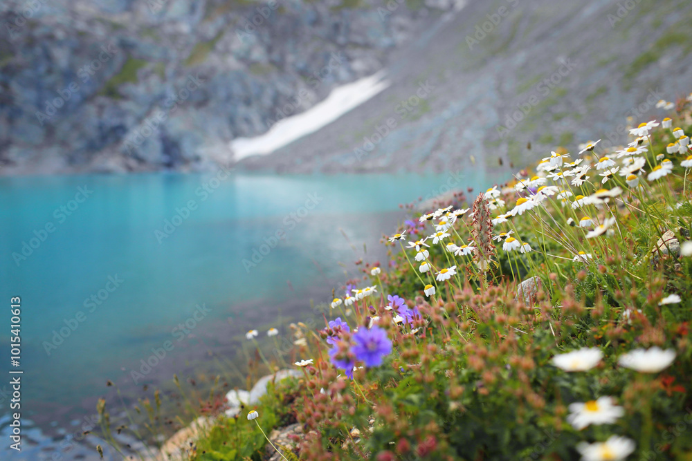 Naklejka premium meadow with flowers and mountains