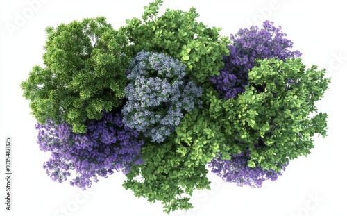 Tree with purple flowers top view for landscaping and architectural plans