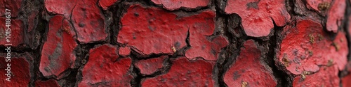 A red tree trunk with a rough, cracked surface. The bark is peeling and the wood is exposed photo