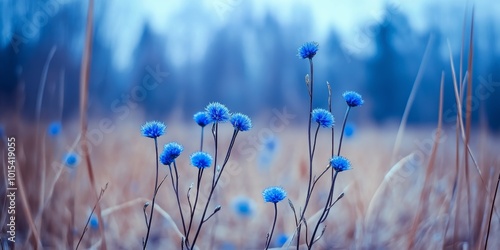 A beautiful field of blue flowers, with a clear blue sky in the background. The flowers are scattered throughout the field, with some standing tall and others more delicate. Scene is calm and tranquil