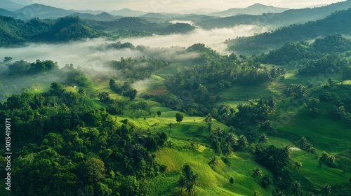 A scenic aerial view of the lush green hills of northern Thailand, with mist rising from the valleys.