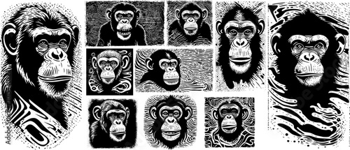 Collection of monkey portraits. Grunge animals for textured. Black paint, ink brush strokes, brushes, lines, splatter. Dirty artistic design elements. Vector illustration. Isolated on white background
