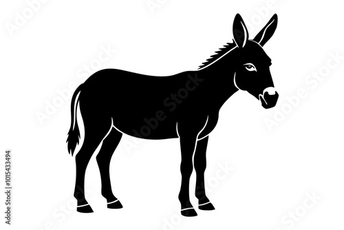 donkey isolated on white