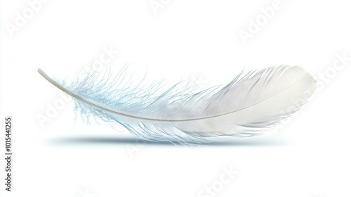  A white feather against a white backdrop, with shadows beneath the feather on both the top and bottom