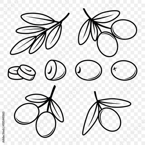 Flat Vector Black Olives and Branch Outline Set. Hand-Drawn Olive Tree Berries and Branch Clipart. Olive Twig with Leaves for Olive Oil Products, Packaging, Food Design Template