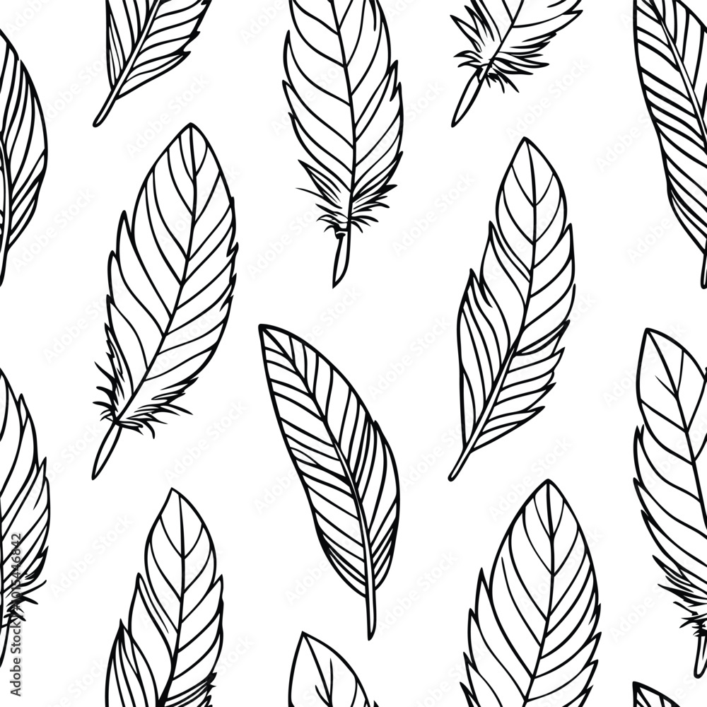 Fototapeta premium Bird Feather Line Art Vector Illustration