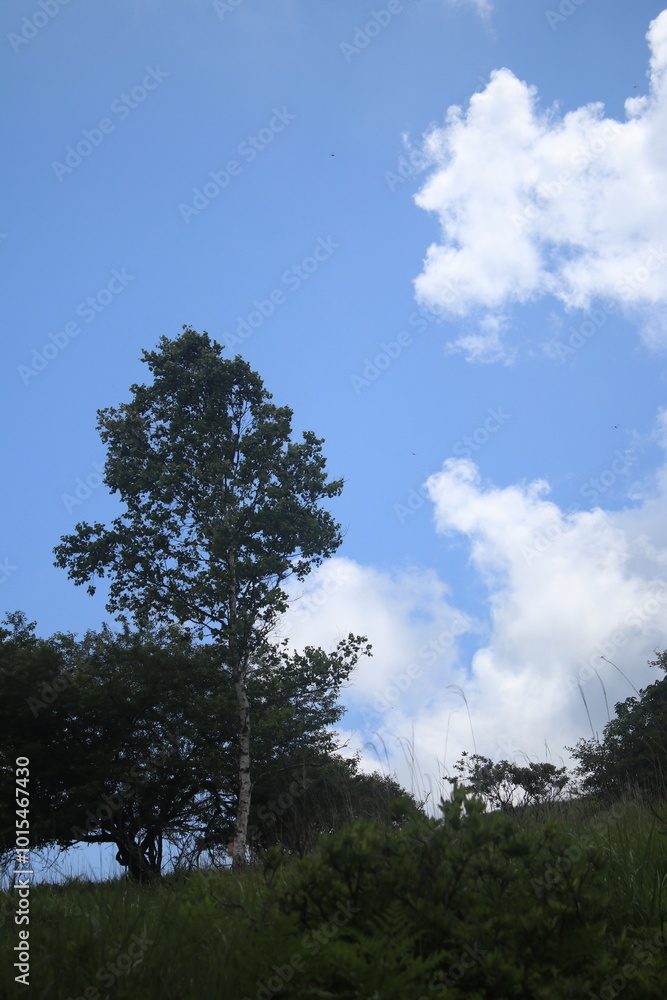 自然 風景 自然 風景