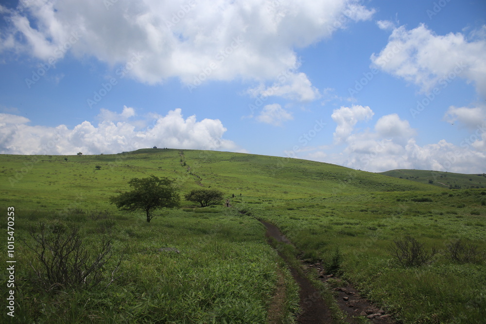 Fototapeta premium 自然 風景