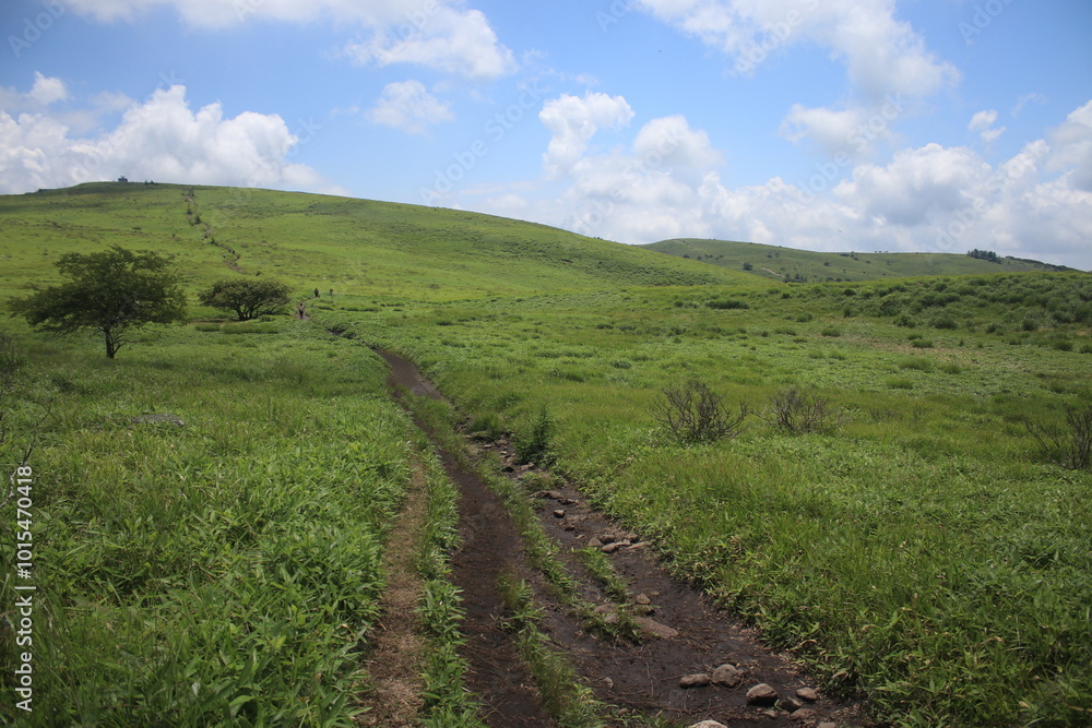 Obraz premium 自然 風景