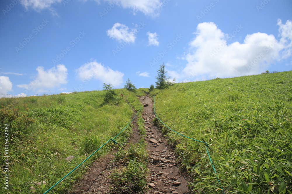 Obraz premium 自然 風景