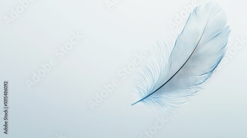  White feather on gray and foggy day, floating against blue sky