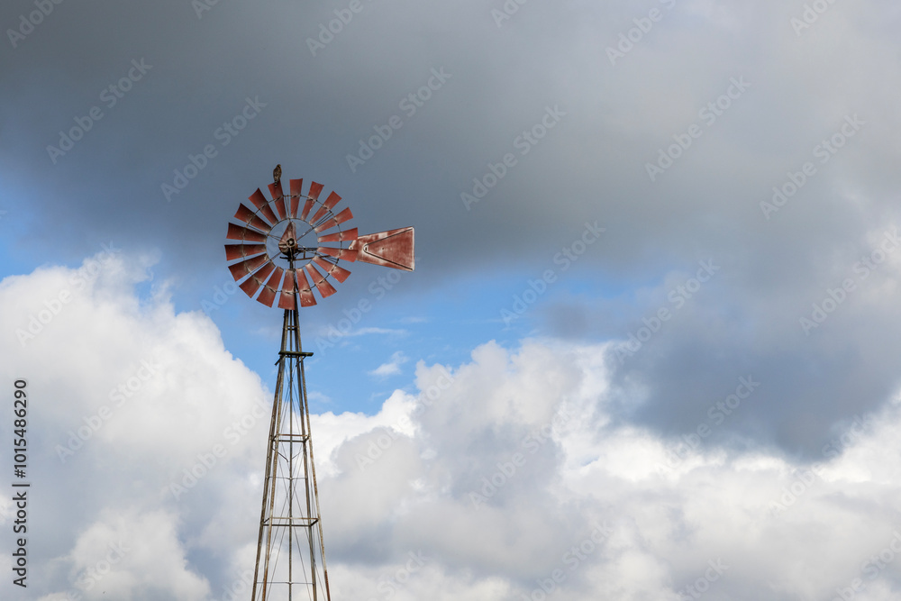 A red tailed hawk sits on a rural windmill's blade. A red tailed hawk sits on a rural windmill's blade.
