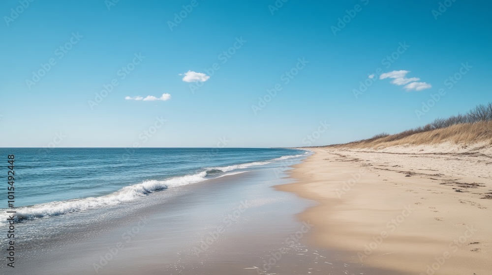 Tranquil East Hampton Seaside Oasis: Serene Empty Beach on a Beautiful Spring Day Inviting Relaxation and Natural Beauty in Coastal Paradise Tranquil East Hampton Seaside Oasis: Serene Empty Beach on a Beautiful Spring Day Inviting Relaxation and Natural Beauty in Coastal Paradise