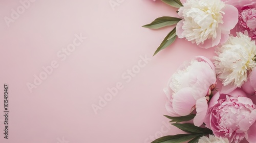 Romantic peonies in soft pink hues creating an elegant floral frame for wedding invitations International Women's Day or Mother's Day celebrations