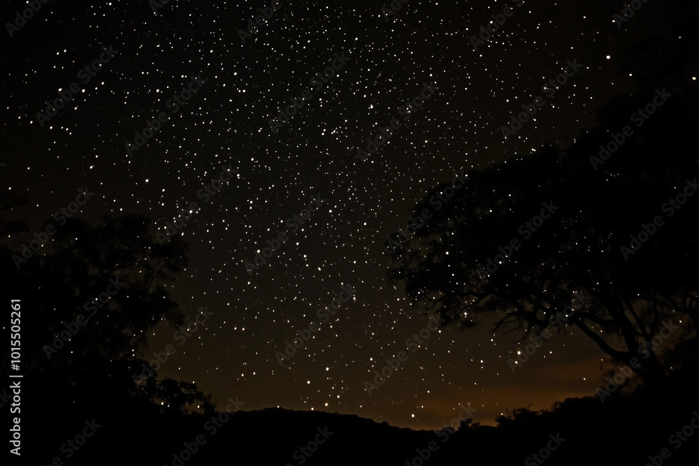 Night sky with sparkling stars on black background, peaceful starlit sky with cosmic view Night sky with sparkling stars on black background, peaceful starlit sky with cosmic view